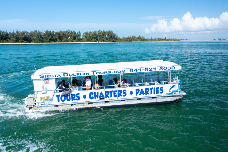 Dolphin tour boats