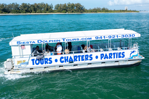 dolphin cruises siesta key fl