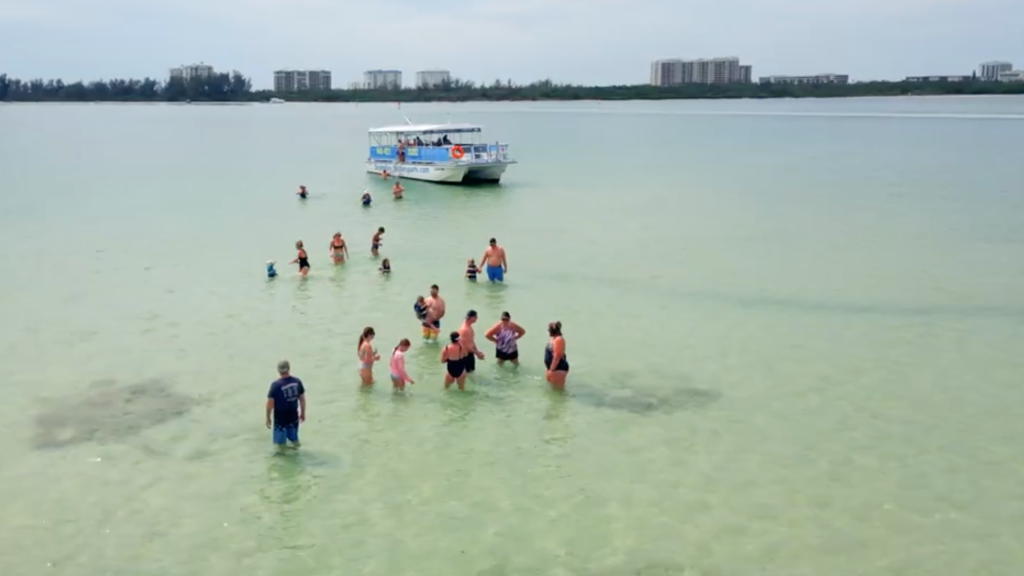 Guests enjoying a sandbar tour with dolphin sightings and drinks near Siesta Key, Florida