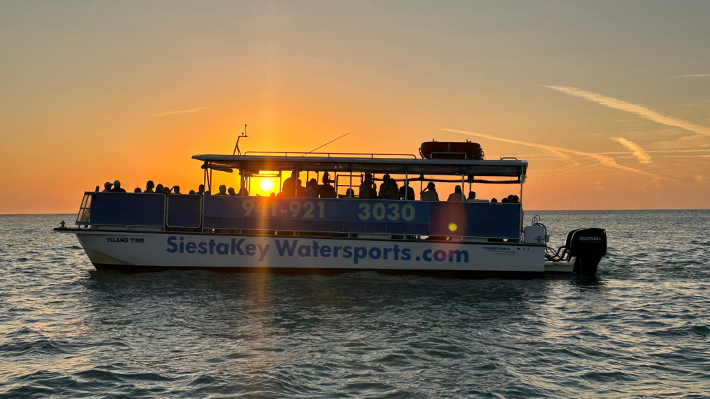 Dolphins swimming near a tour boat during a sunset dolphin cruise in Siesta Key, Florida